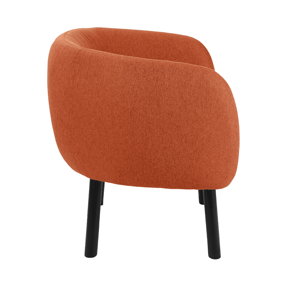 Țesătură scaun de luat masa din lemn solid